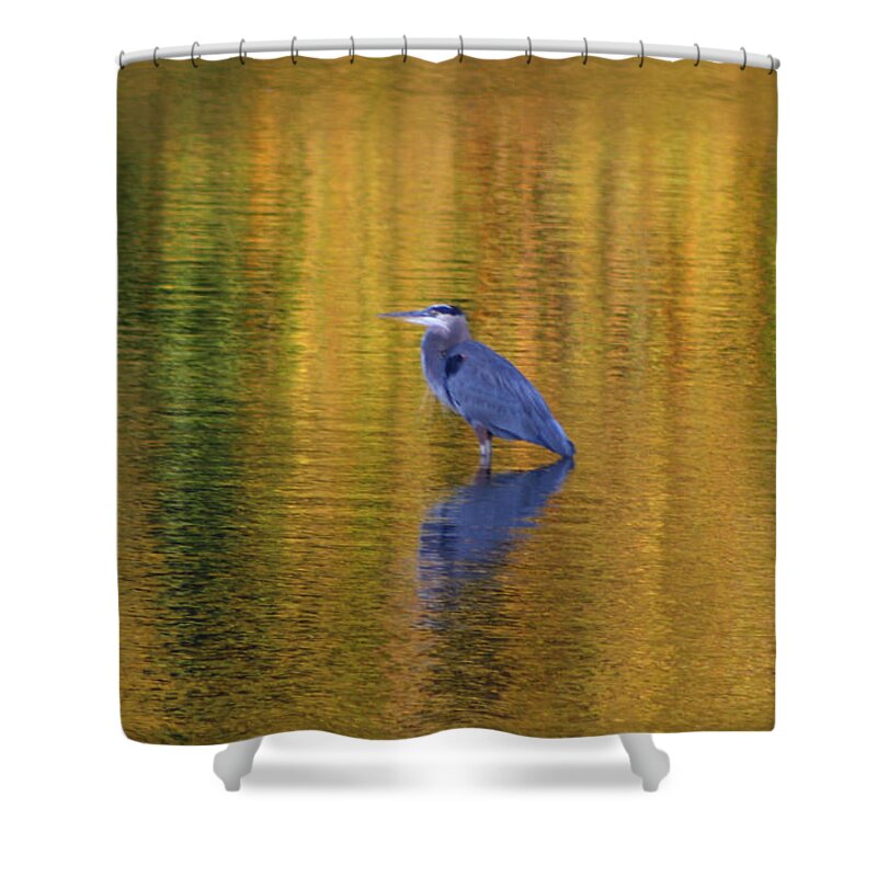 Heron Shower Curtain featuring the photograph Autumn Watcher by Mr Other Me Photography DanMcCafferty