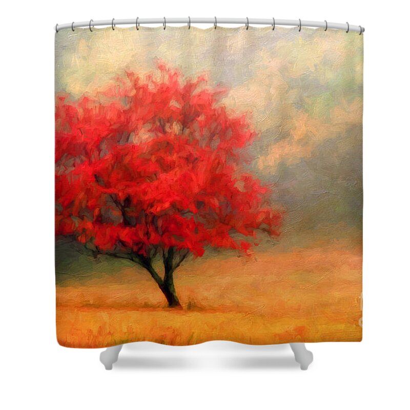 Dogwood Shower Curtain featuring the photograph Autumns Colors by Darren Fisher