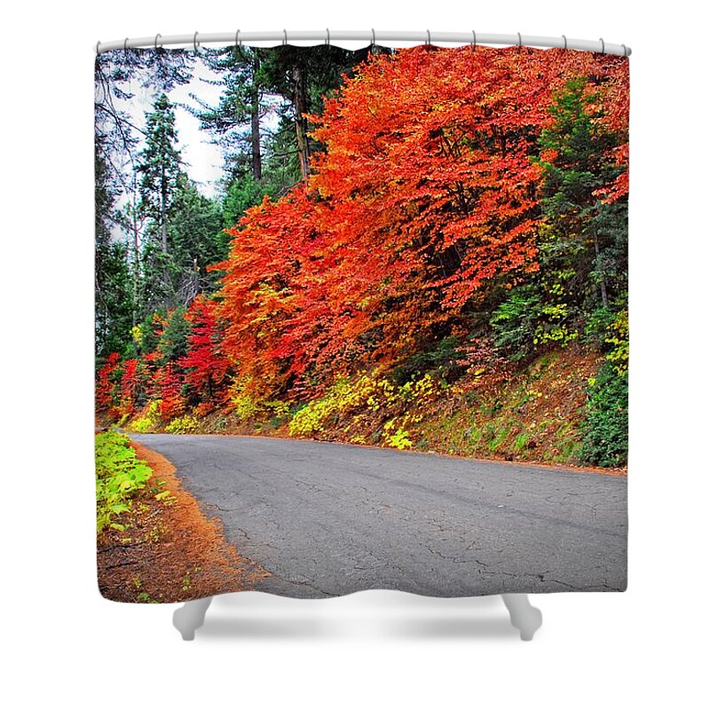 Fall Shower Curtain featuring the photograph Autumn's Glory by Lynn Bauer