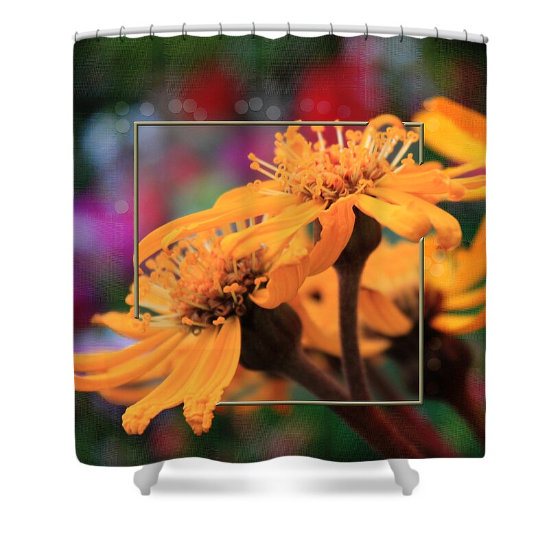 Leopards Bane Flower Shower Curtain featuring the photograph Autumn's Glory by Sandra Foster