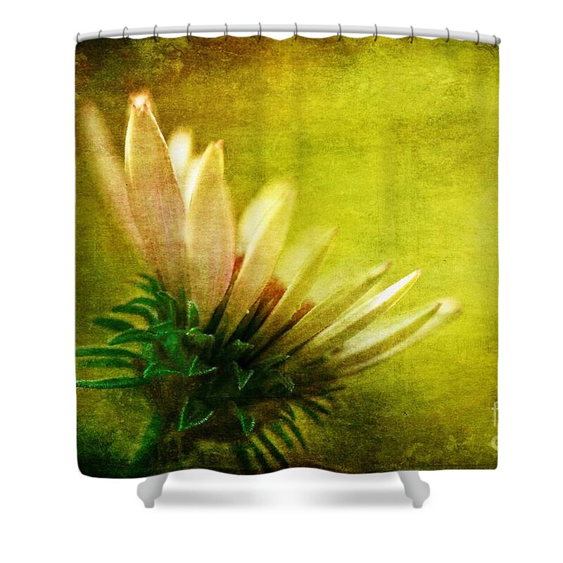 Flower Shower Curtain featuring the photograph Awakening by Lois Bryan