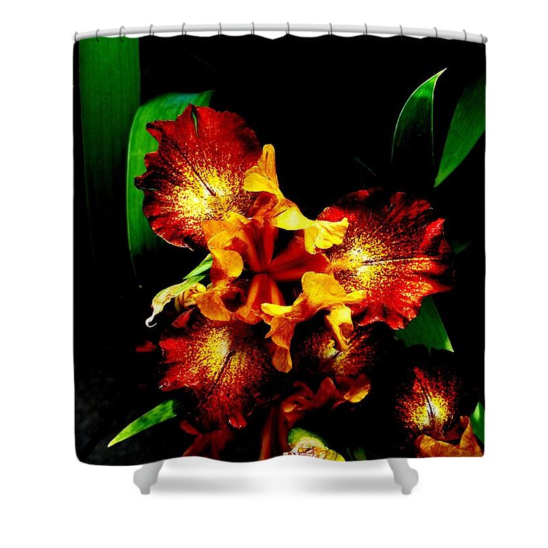 Awesome Iris Shower Curtain featuring the photograph Awesome Iris by Mike Breau