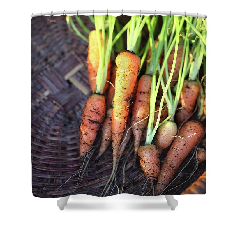 Outdoors Shower Curtain featuring the photograph Baby Carrots Freshly Harvested From by Redmark