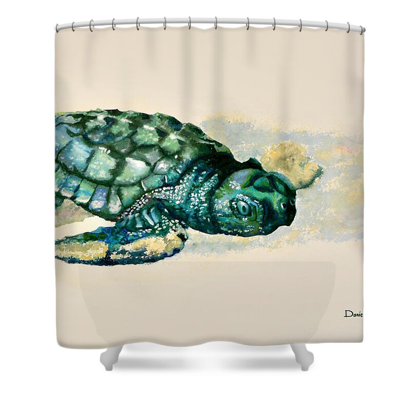 Turtle Shower Curtain featuring the painting DA150 Baby Sea Turtle by Daniel Adams by Daniel Adams