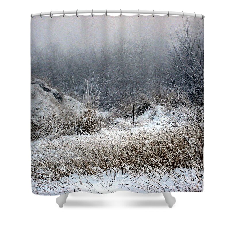 Winter Shower Curtain featuring the photograph Back Woods Winter by Kathy Bassett
