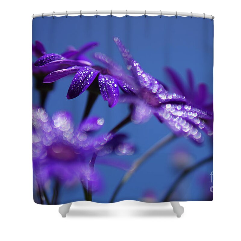 Carrie Cole Shower Curtain featuring the photograph Backyard Bokeh by Carrie Cole