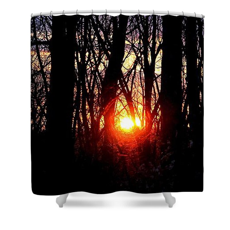 Glow Shower Curtain featuring the photograph Backyard Sunset 3 by Michael Saunders