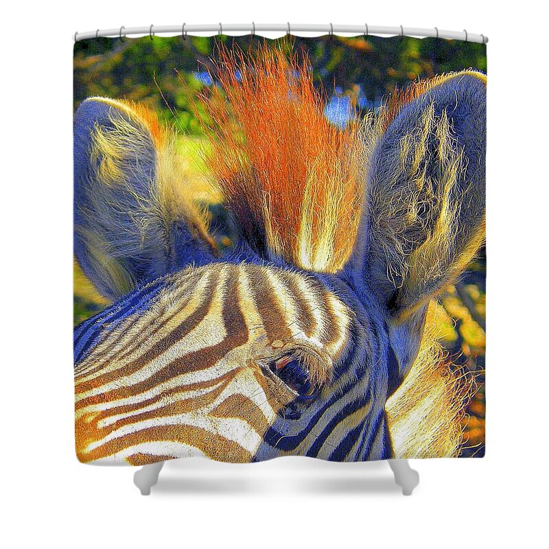 Mammals Shower Curtain featuring the photograph Bad Fur Day Sold by Antonia Citrino