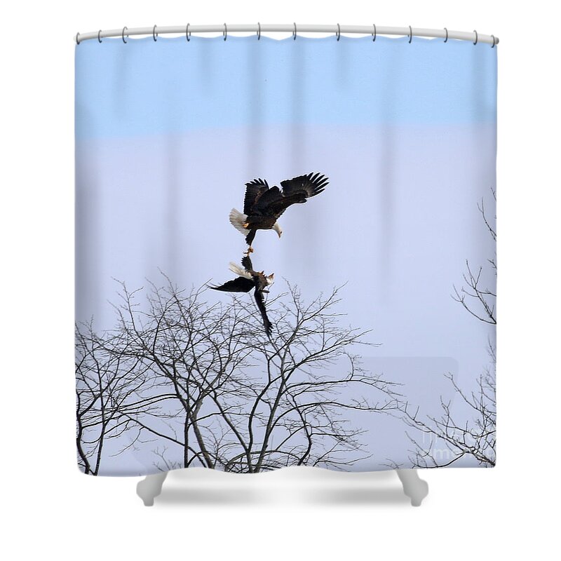 Bald Eagles Shower Curtain featuring the photograph Bald Eagle Courtship Ritual 1338 by Jack Schultz