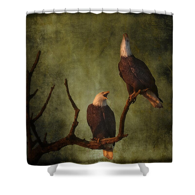 Bald Eagle Serenade Shower Curtain featuring the photograph Bald Eagle Serenade by Wes and Dotty Weber
