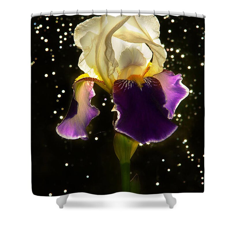 Iris Shower Curtain featuring the photograph Ballerina by Loni Collins