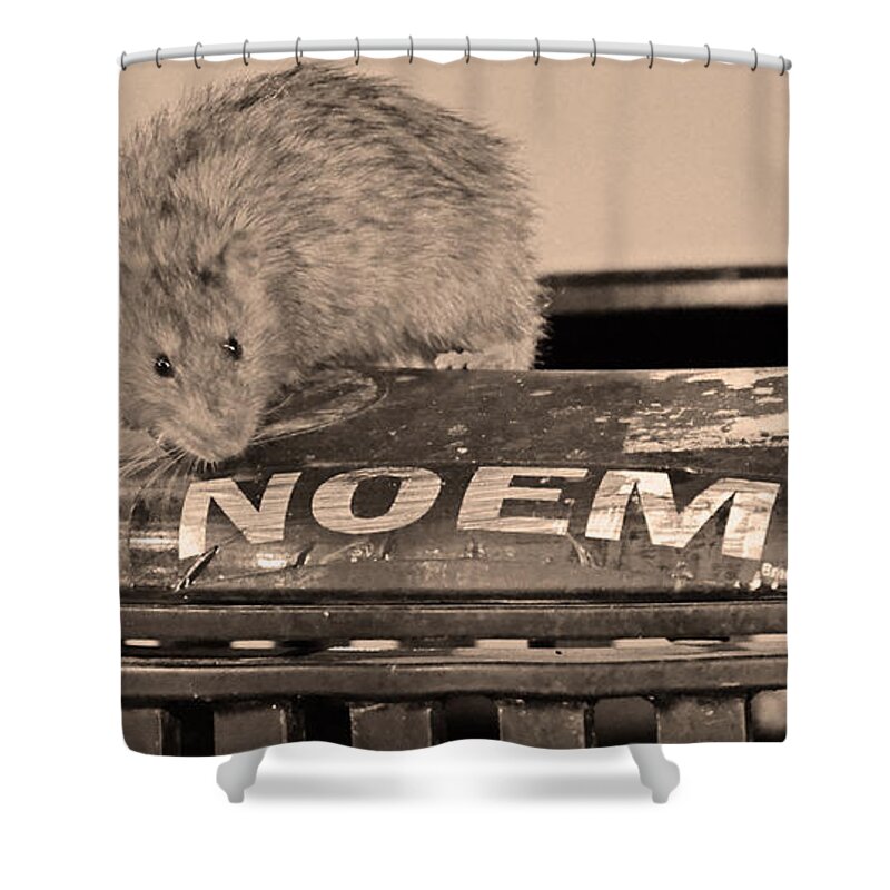 Rat Shower Curtain featuring the photograph Baltimore Rat by La Dolce Vita