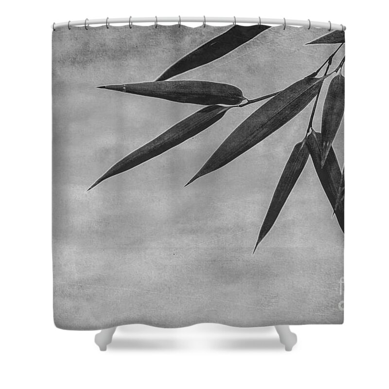 Asia Shower Curtain featuring the photograph Bamboo - Gray by Hannes Cmarits