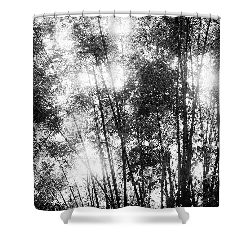 Beautiful Shower Curtain featuring the photograph Bamboo Shoots by Aleck Cartwright