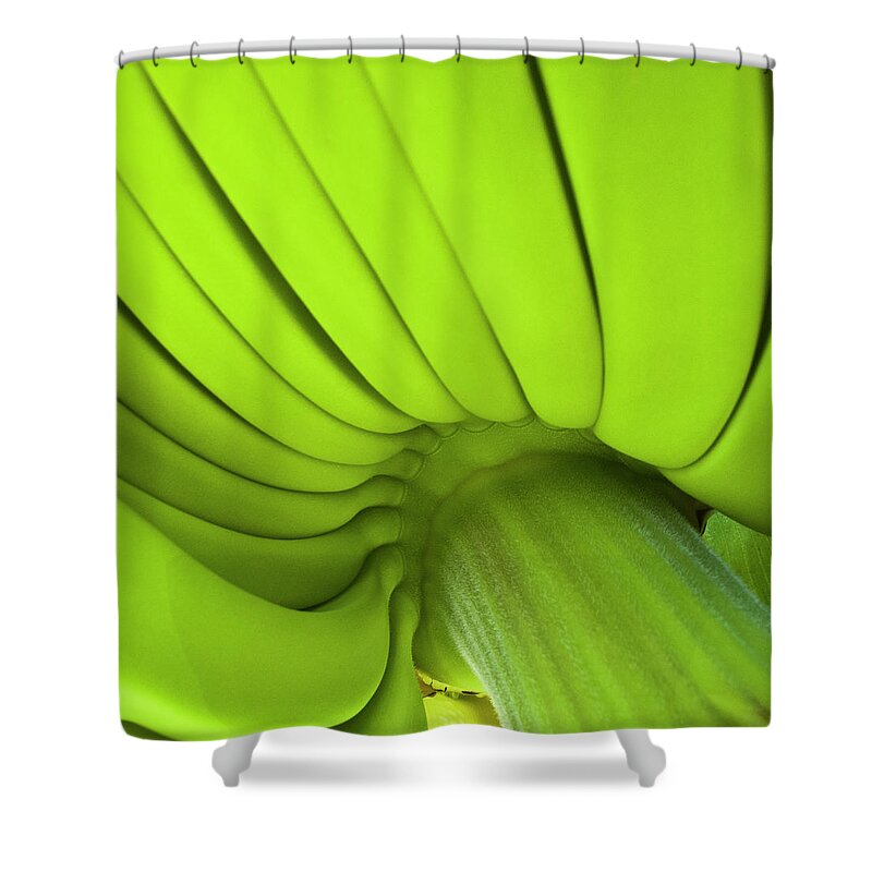 Nature Shower Curtain featuring the photograph Banana Bunch by Heiko Koehrer-Wagner