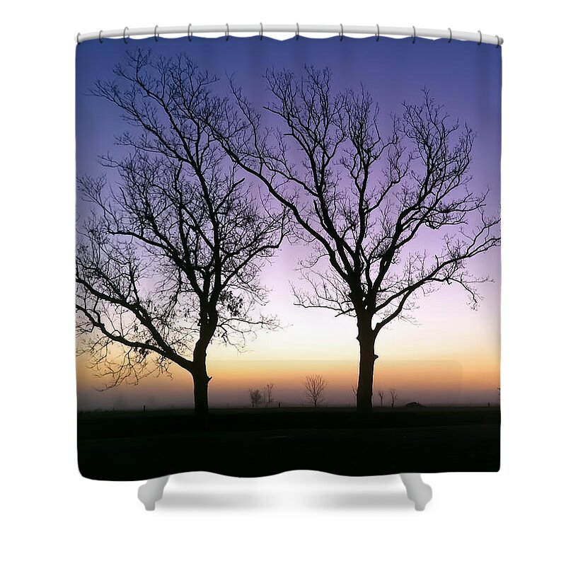 Winter Shower Curtain featuring the photograph Bare Bones by Tim Stanley