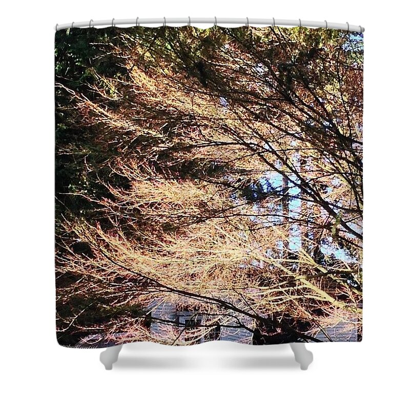 Bare Naked Branches Ii Shower Curtain featuring the photograph Bare Naked Branches II by Anna Porter