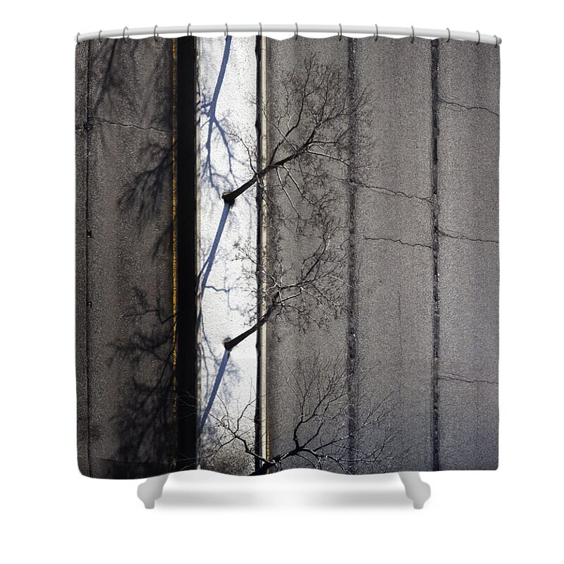 Road Shower Curtain featuring the photograph Bare Trees by Margie Hurwich