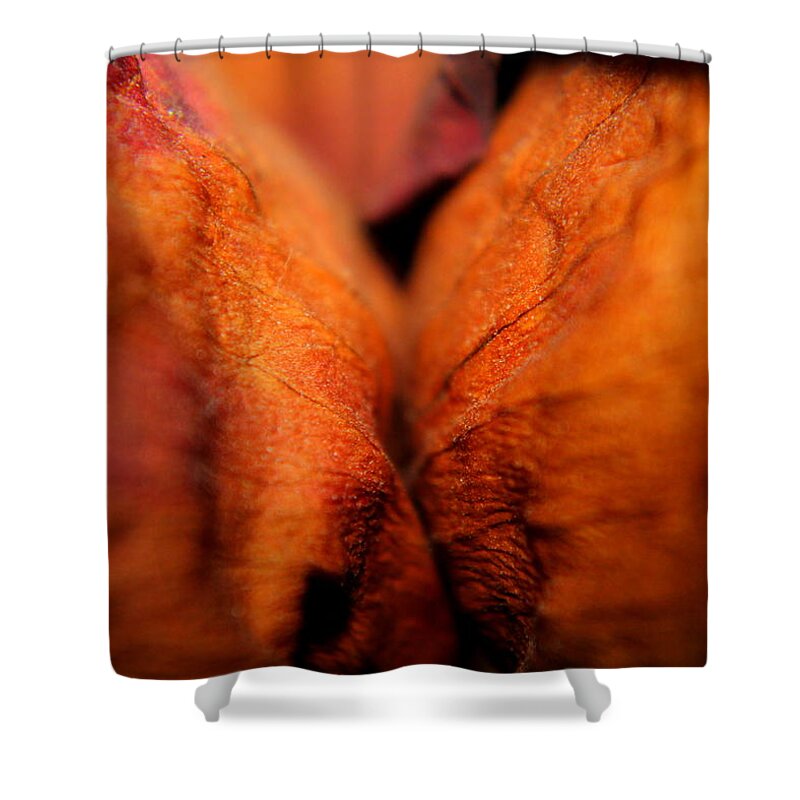 Abstract Shower Curtain featuring the photograph Barely Touching by Viviana Nadowski