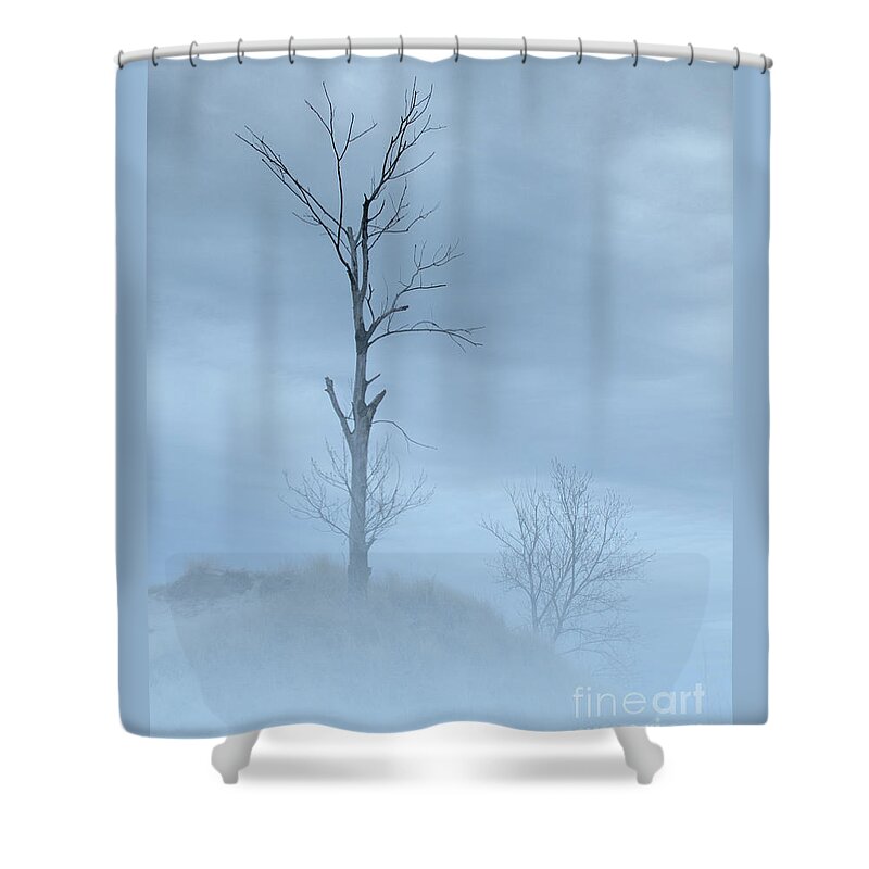 Trees Shower Curtain featuring the photograph Barely Visible by Ann Horn