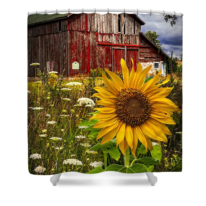 Barn Shower Curtain featuring the photograph Barn Meadow Flowers by Debra and Dave Vanderlaan