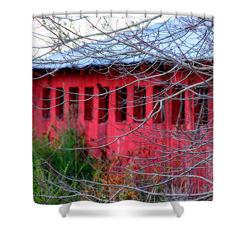 Barn Shower Curtain featuring the photograph Barn of Red by Diana Sainz by Diana Raquel Sainz