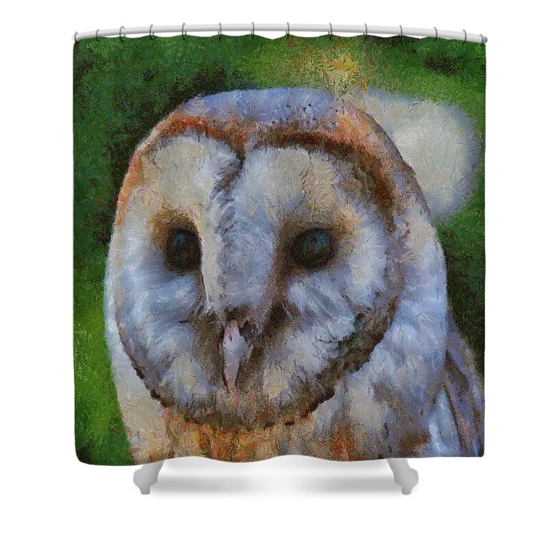 Owl Shower Curtain featuring the painting Barn Owl by Taiche Acrylic Art