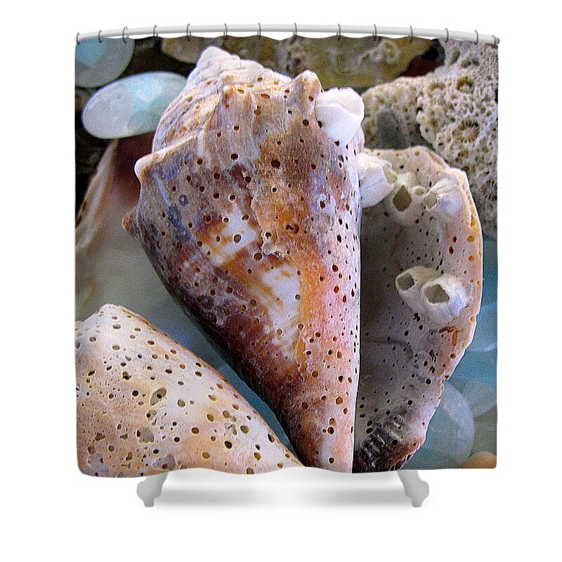 Shells Shower Curtain featuring the photograph Barnacles by Colleen Kammerer