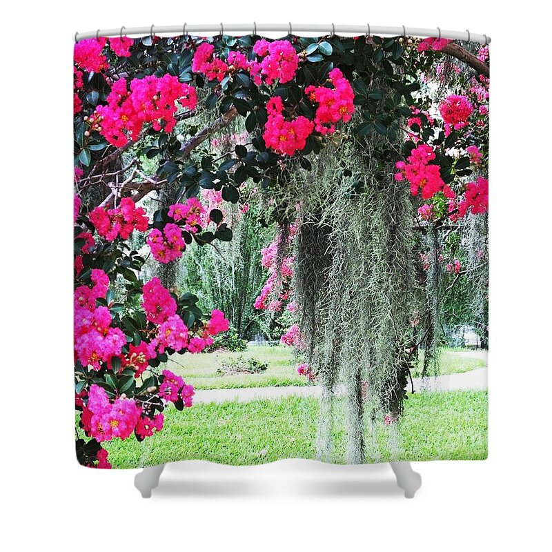 Flowers Shower Curtain featuring the photograph Baton Rouge Louisiana Crepe Myrtle and Moss at Capitol Park by Lizi Beard-Ward