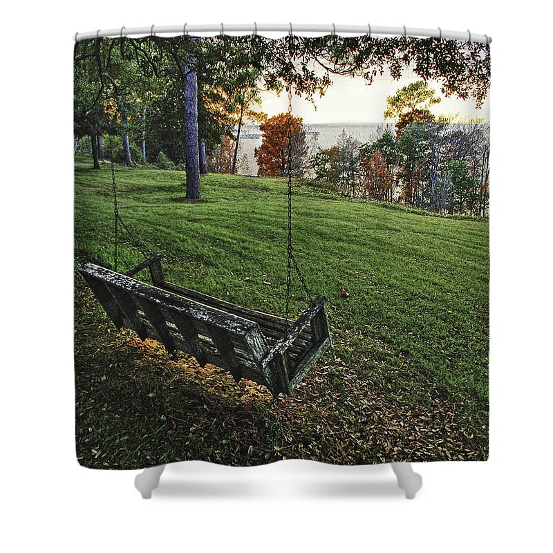 Palm Shower Curtain featuring the digital art Bayview Swing on a August Day by Michael Thomas