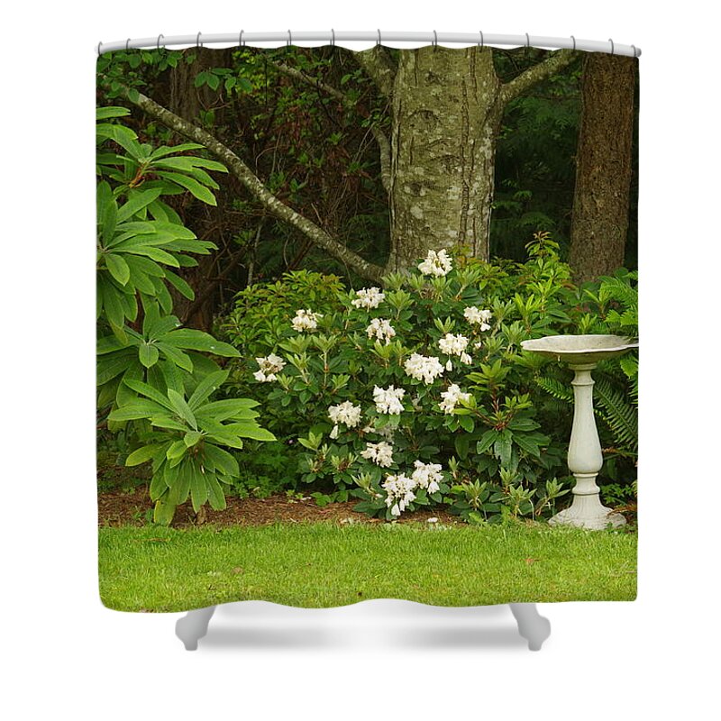 Natural Garden Shower Curtain featuring the photograph Backyard Garden by Marilyn Wilson