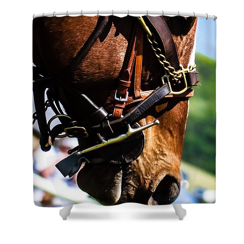 Steeplechase Shower Curtain featuring the photograph Be quiet I'm trying to think by Robert L Jackson