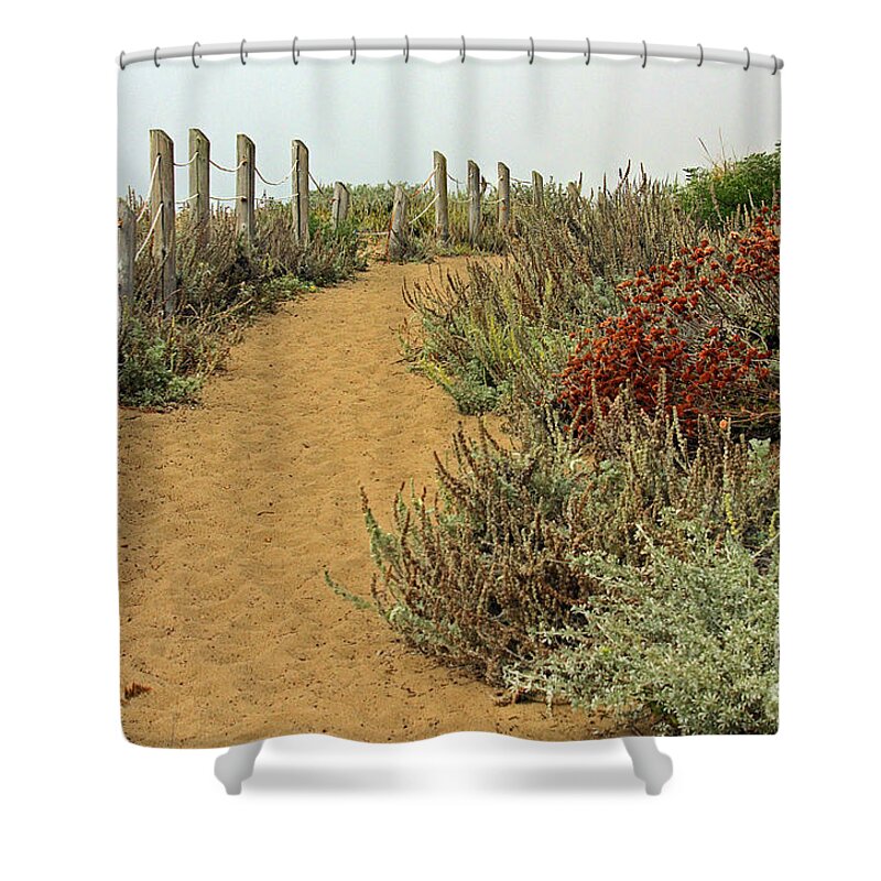 Kate Brown Shower Curtain featuring the photograph Beach Dune by Kate Brown