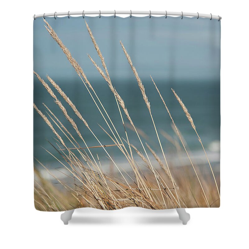 Tranquility Shower Curtain featuring the photograph Beach Grass by Jill Ferry Photography