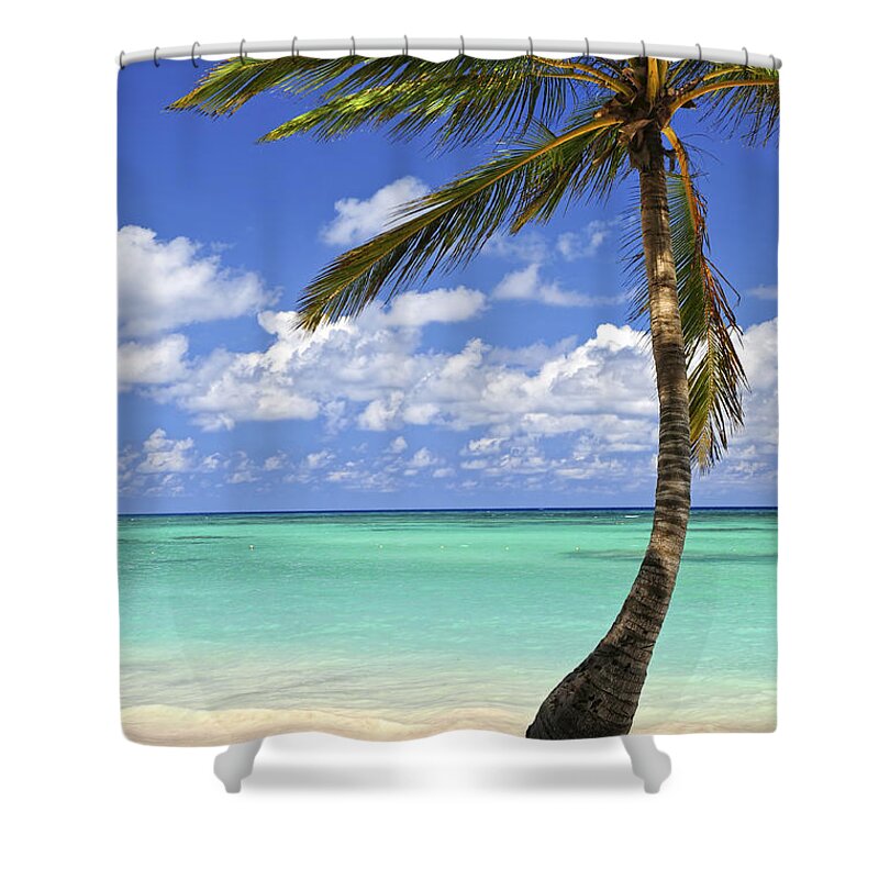 Beach Shower Curtain featuring the photograph Beach of a tropical island by Elena Elisseeva
