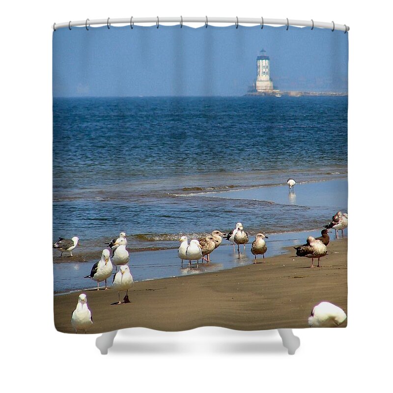 Beach Party Shower Curtain featuring the photograph Beach Party by Patrick Witz