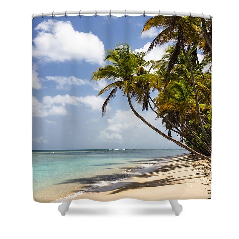Konrad Wothe Shower Curtain featuring the photograph Beach Pigeon Point Tobago West Indies by Konrad Wothe
