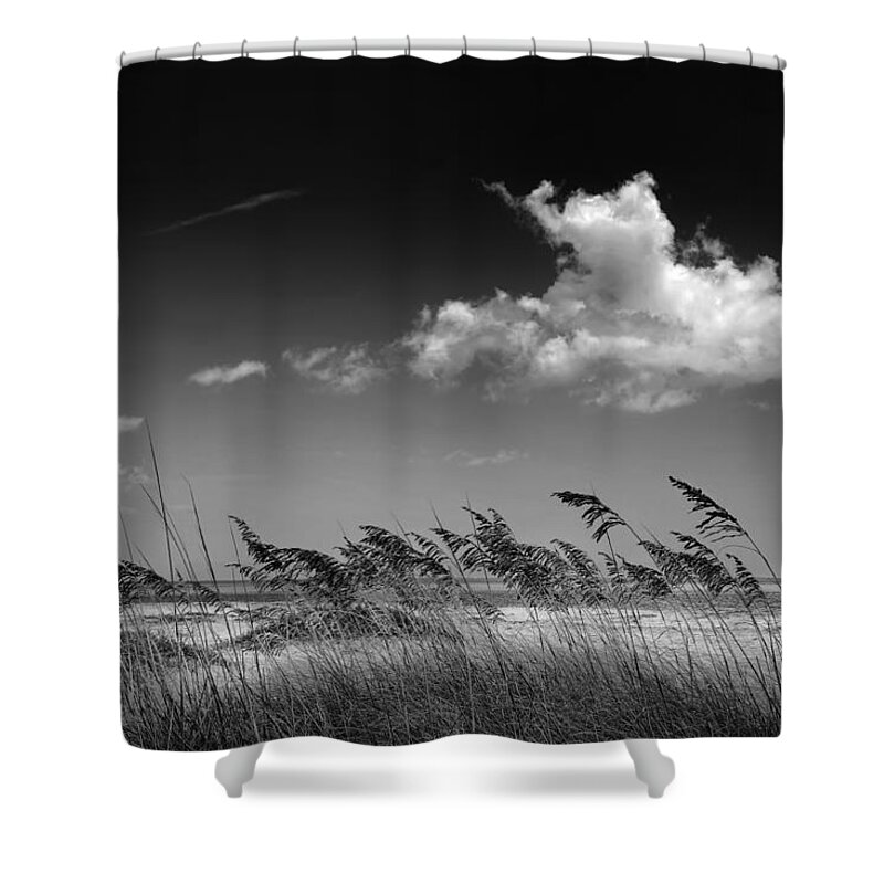 Beach Shower Curtain featuring the photograph Beach Scene by Rudy Umans