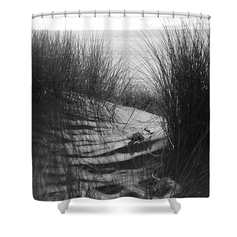 Beach Shower Curtain featuring the photograph Beachgrass by Adria Trail