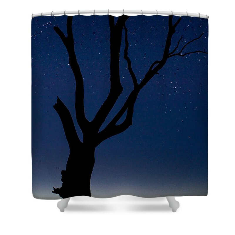 2008 Shower Curtain featuring the photograph Beachmere by Robert Charity