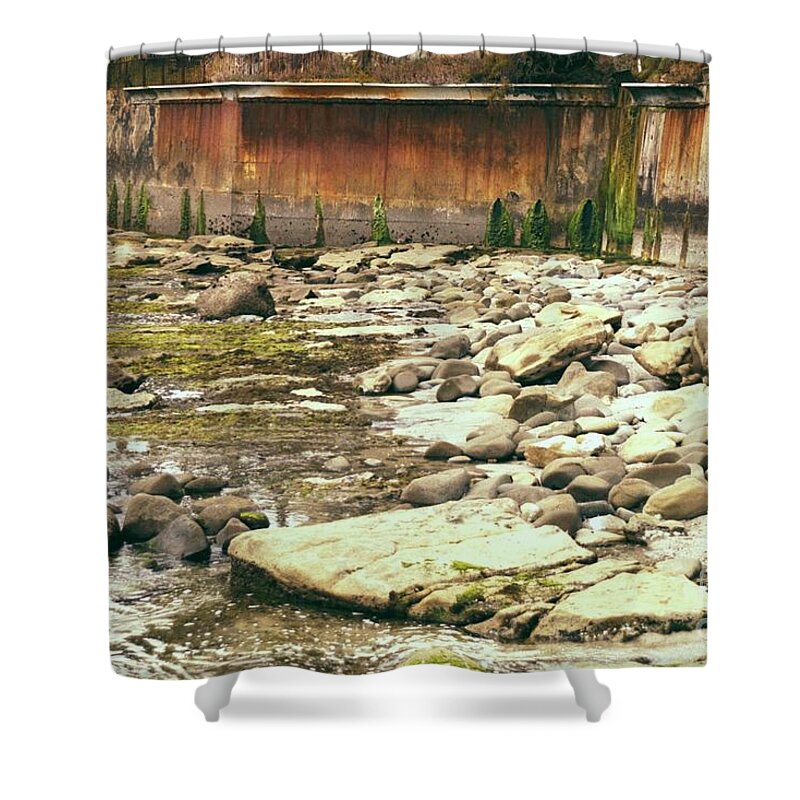 Beach Shower Curtain featuring the photograph Beachside Reading Color by Heather Kirk