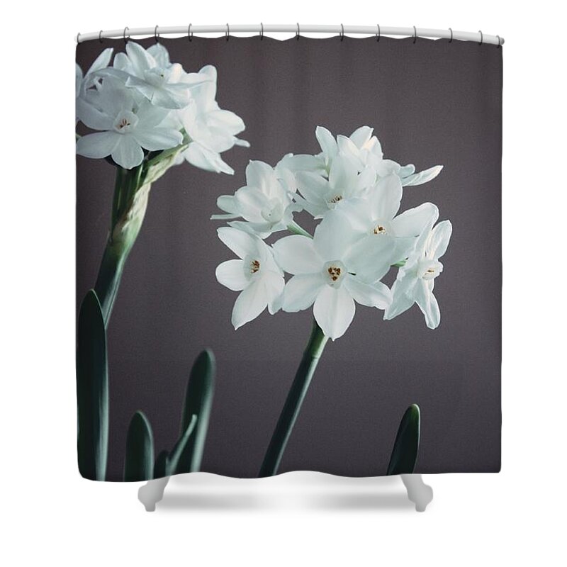 Flowers Shower Curtain featuring the photograph Beautiful Bloomer by Marcia Breznay