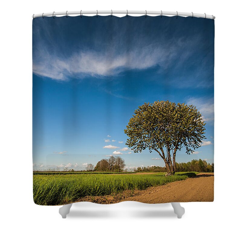 Landscapes Shower Curtain featuring the photograph Beautiful day by Davorin Mance