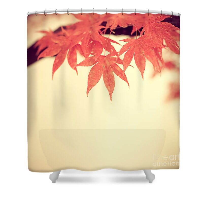 Autumn Shower Curtain featuring the photograph Beautiful Fall by Hannes Cmarits