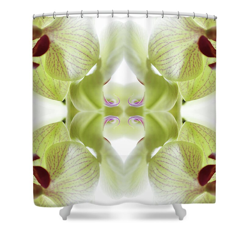 Tranquility Shower Curtain featuring the photograph Beautiful, Finely Textured Orchid by Silvia Otte