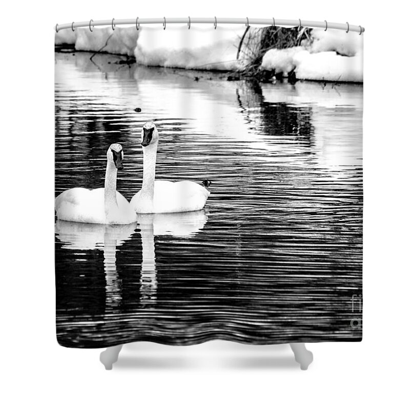 Landscape Shower Curtain featuring the photograph Beautiful in Black and White by Cheryl Baxter