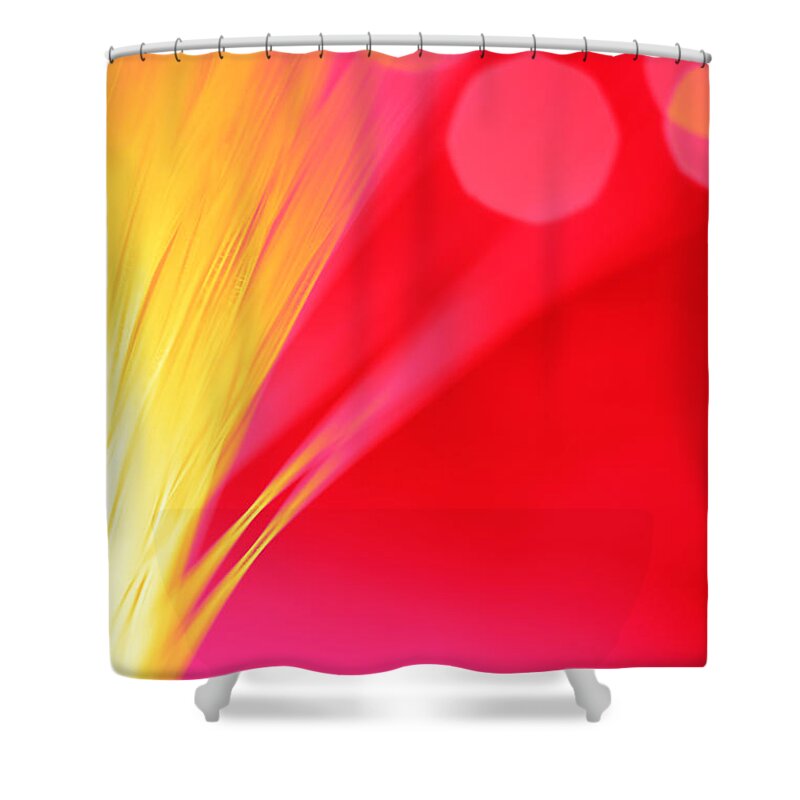 Abstract Shower Curtain featuring the photograph Beautiful Way by Dazzle Zazz