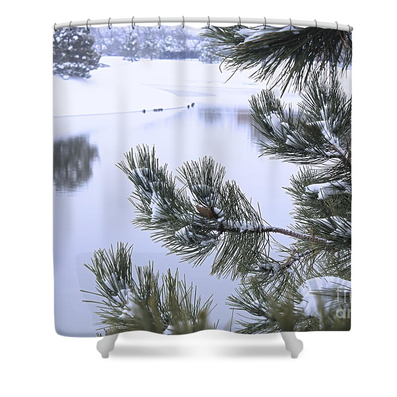 Snow Shower Curtain featuring the photograph Beauty After The Storm by Barbara Dean