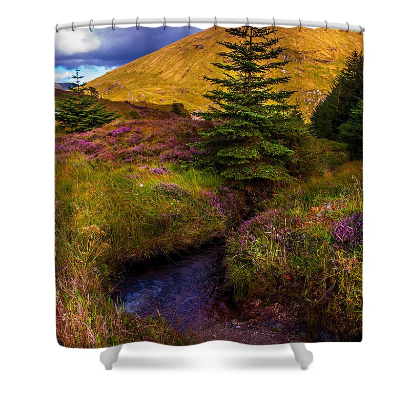 Nature Shower Curtain featuring the photograph Beauty all Around. Rest and Be Thankful. Scotland by Jenny Rainbow
