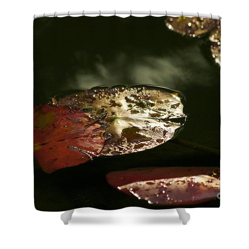 Tranquility Shower Curtain featuring the photograph Beauty by Eileen Gayle